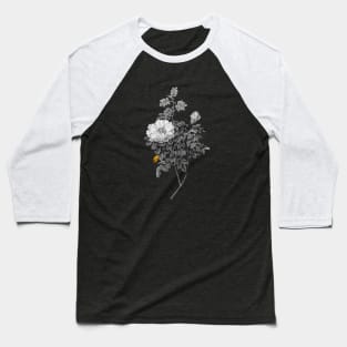 Black and Gold Leaf - Blooming Ventenat's Rose - Vintage Botanical Baseball T-Shirt